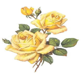 Telegram sticker ✍️ favoritoslab1