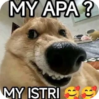 Telegram stiker 🐶 Slurrrppp