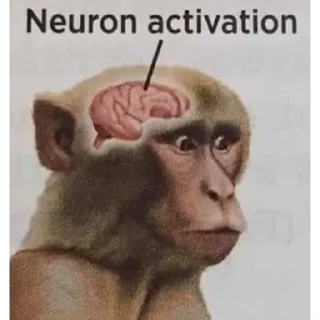 Телеграм стикер 🧠 TikTok comments 2