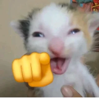 Video sticker 🫵 TikTok comments 2