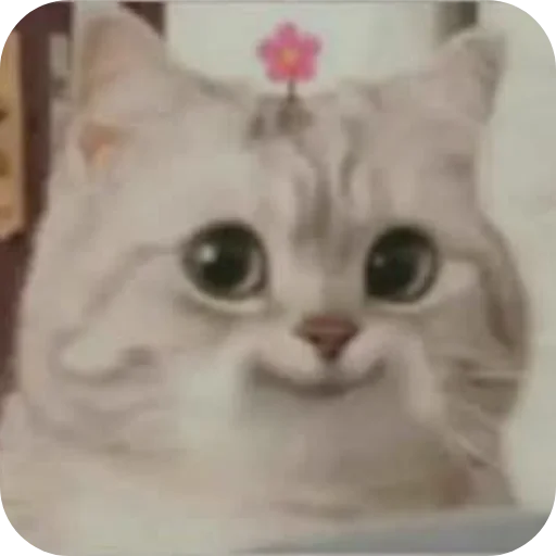 Sticker 🐱 @E1GY_1