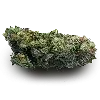 Sticker 🥦 Freepack Mobten