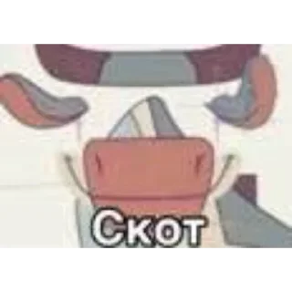 Video sticker 👍 стрим 21-22.02.26