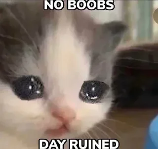 Telegram sticker 🐱 KANG PACK NIGGERS