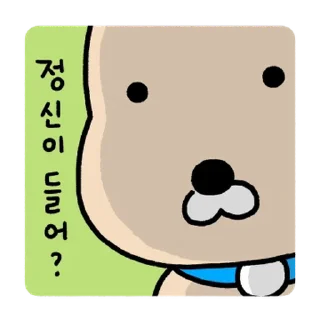 Video sticker 💬 누렁이 또 왔어요! By @KakaoEmoticon