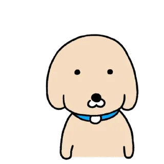 Video sticker 💬 누렁이 또 왔어요! By @KakaoEmoticon