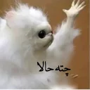 Telegram sticker 😕 Gorbepashmaki|TextSmile|