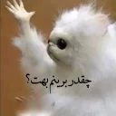 Video sticker 😐 Gorbepashmaki|TextSmile|