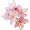 Sticker 💐 W :: @fStikBot