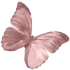 Sticker 🦋 W :: @fStikBot