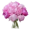 Video sticker 💐 W :: @fStikBot