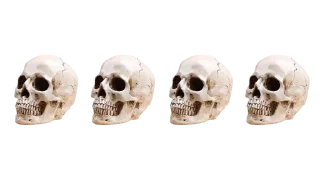 Video sticker 💀 D.G @usrTaehyung