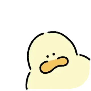 Video sticker ⭐ 안녕하세요. 김바덕 입니다. 19 @moe_sticker_bot