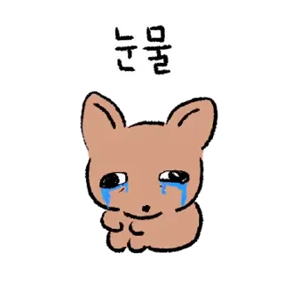 Video sticker ⭐ 그냥 치와와 @manbull_sticker_bot