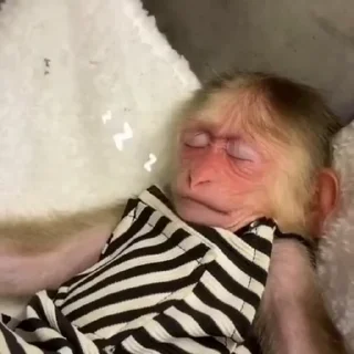 Video sticker 😴 крест опять выдал базу