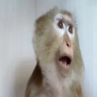 Video sticker ⁉ крест опять выдал базу