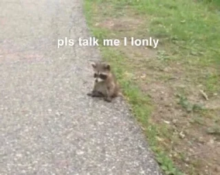 Video sticker 🥺 boops cute