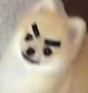 Telegram sticker 😡 boops cute