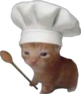 Telegram sticker 🧑‍🍳 Pussyo !