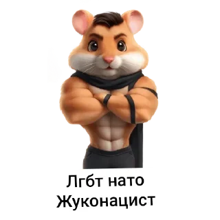 Video sticker 🥇 Мэфтсрои мєм😏👾