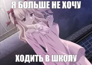 Video sticker 😁 Анонимный чат: @anonimnyi_chatbot 💓