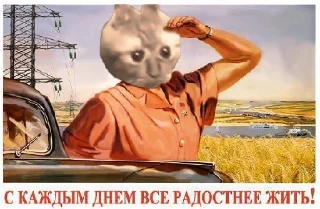 Telegram stiker 😾 Опять на работу