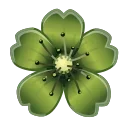 Video sticker 🌸 Sakura Flower | @G...