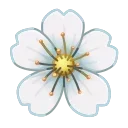Video sticker 🌸 Sakura Flower | @G...