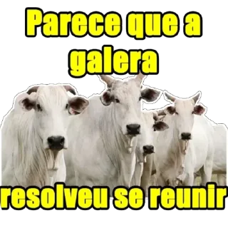 Telegram sticker 🥰 Dezoitoreais #3