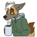 Video sticker ☕ nikola