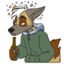 Video sticker 🍺 nikola