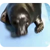 Video sticker 🦭 тюленьчик...