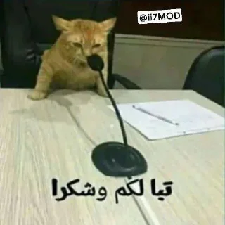 Telegram sticker 🍙 ماريو