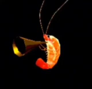 Video sticker 🌟 Raiko core продолжение :: @fStikBot