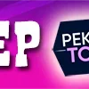 Video sticker ✅ Проверенн...