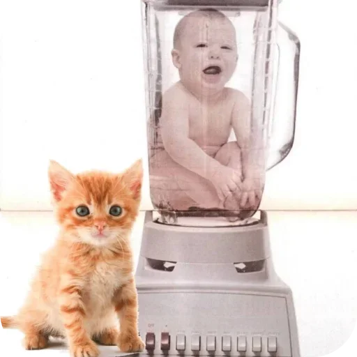 Telegram sticker 👍 Memes by @offstikbot