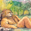 Video sticker 🏊 Leokiba2017