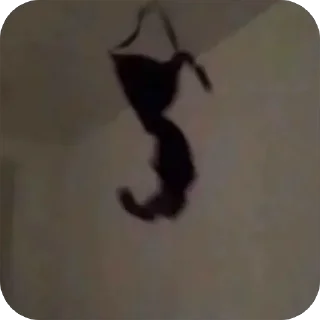 Telegram stiker 🌟 veshveta’stick// :: @QStickBot