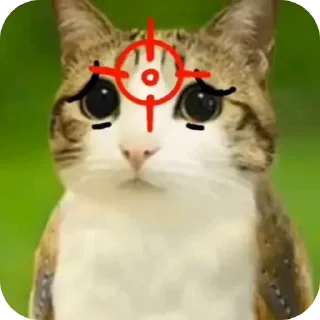 Телеграм стикер 🐱 Meowl || @chillgator