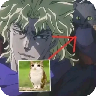 Телеграм стикер 🐱 Meowl || @chillgator