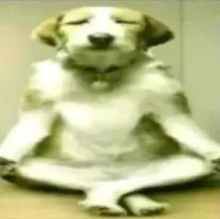 Video sticker 🌟 the big 2025 🥀 :: @fStikBot