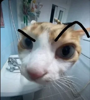 Telegram sticker ⭐️ juao • @sticbot