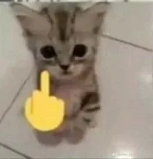 Telegram sticker ⭐️ juao • @sticbot