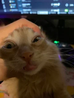 Sticker ⭐️ juao • @sticbot