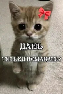 Telegram sticker 🤩 Больше стиков тут: @stikery4