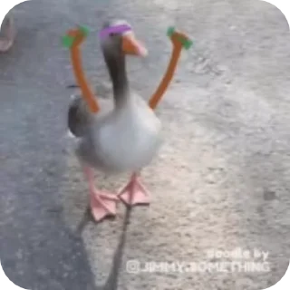 Telegram stiker 🦆 Wan :: @fStikBot