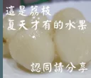 Video sticker 😄 長輩圖