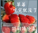 Video sticker 😃 長輩圖