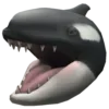 Video sticker 🦈 Оценка ск�...