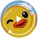 Video sticker 👋 Duck | [@iStackme]